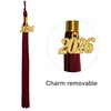 GraduatePro Matte Graduation Cap and Gown 2026 Set Bulk with
