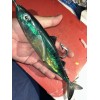 OC 2 Mackerel Monster Swim-bait 10-1/2in. Iridescent Soft 9.5oz. (270g.)