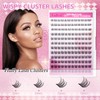 Natural Lash Clusters DIY Lash Extensions at Home Wispy Eyelash