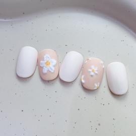 Winter Flower - Stelletto / 겨울꽃 - 스텔레토