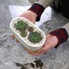 Ceramic Succulent Pots - 1 Pot - Short Oval Shaped