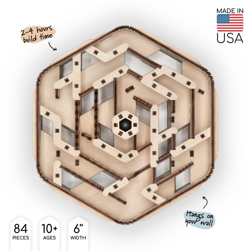 Intrism Icon - Brain Teaser Puzzle for Ages 10+ |