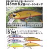 CONTYU Mountain Stream Minnows, Set of 5, 46mm, 6.4g, Trout,