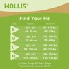 MOLLIS Adult Diapers for Women and Men, Unisex Disposable Incontinence