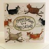 Alex Clark Crazy Cat Lady Birthday Card