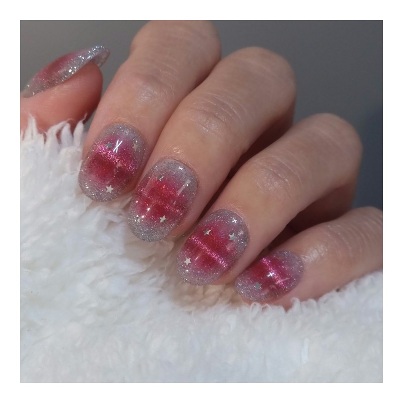 Pink Pop Magnet Handmade Nail Tips - Stiletto / 핑크팝