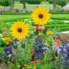 Sunflower Windmill Metal Windmill Garden Stake Wind Sculptures for Balcony