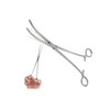 Panther Surgical 12 Inch Curved Stainless Steel Copping Crafting Sea