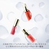HONEY ROA Honey Water Dip (04 Salsa Roha) [Cream Lipstick]