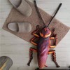 The Flash Store 21.5 in Creative 3D Cockroach Plush Pillow