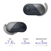 Sony Fully Wireless Noise-Canceling Earbuds WF-SP700N