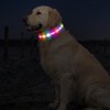 PcEoTllar Light Up Dog Collars, Led Dog Collar, 6 Flashing