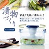 Squirrel S-30 Instant Pickle Container, Square Shape, Clear Blue, 0.1