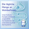 Intestinal Flora 23 Bacteria Strains with Lactobacillus & Bifidobacteria B