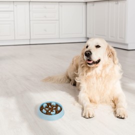 Relaxdays Anti Sling Bowl, Feeding Bowl for Dogs, Pet Bowl 600 ml, Slow Eating, Dog Bowl Dishwasher Safe, Blue, 100% Plastic, 5 x 20.5 x 20.5 cm