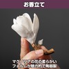 Felimoa Incense Holder Wood Tray Magnolia Meditation Home Incense Burner