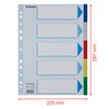 Esselte 795731 A4 5 Positions Cover Included Polypropylene Divider
