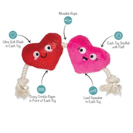 Fringe Studio Plush Dog Toy with Rope, CAN’T BE AP-Heart, Petshop Collection (314494)