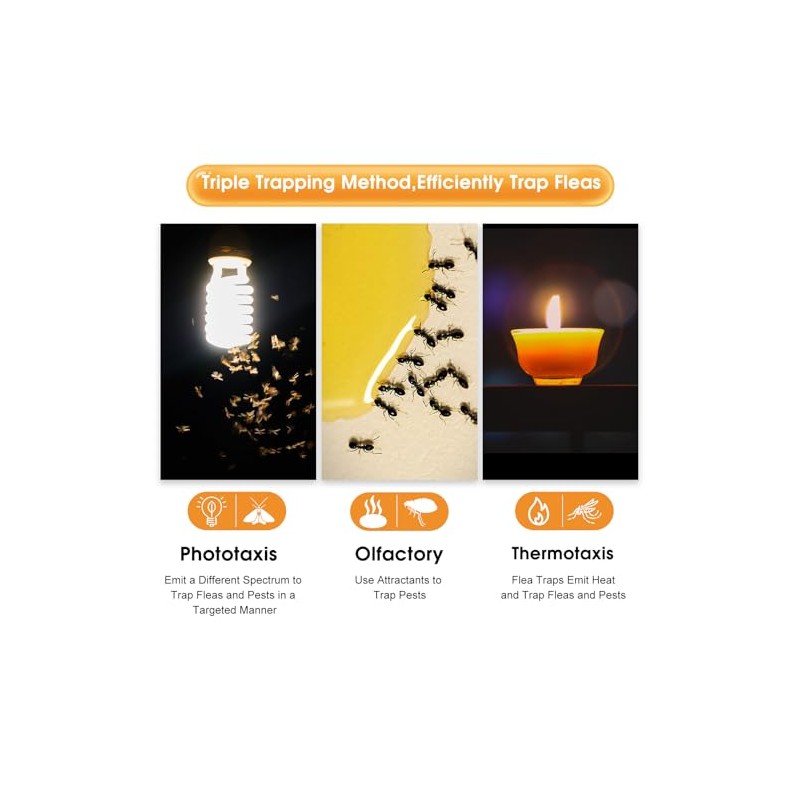 Flea Traps with Sticky Pads and Bulb Replacement- 16 Packs