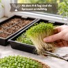 Samenshop24® Organic Cultivation Set (The Original)
