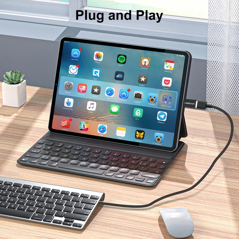 leizhan USB 3.2 Adapter 2pcs, USB-A Buchse zu Typ-C Stecker