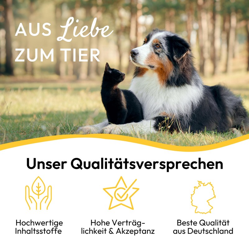 pha Dog Paw and Bunion Protection from the elements Cream
