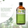 PHATOIL Bergamot 3.4 fl oz (100 ml) Essential Oil Aroma