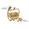 Wenko Maximex Foldable 2-in-1 Bamboo Fruit Basket, Antibacterial, Can be