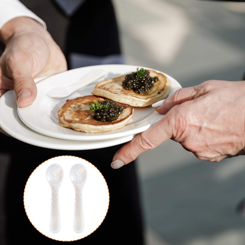 Patelai 10 Pieces Set of Caviar Spoons Mother of Pearl