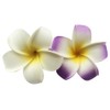 Hawaiian Plumeria Foam Flower Hair Clips, White and Violet, Beach