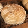 Heritage Sourdough SOURDOUGH STARTER DEHYDRATED WHARF 175+ YRS OLD SAN
