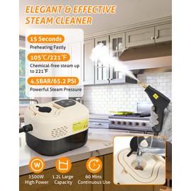 WICHEMI Steam Cleaner Handheld High Pressure Steam Cleaner Car Steamer for Cleaning Portable Steamer1500W Electric Steam Cleaning Machine for Home Kitchen Auto Detailing (Beige)