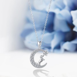 Feijiesi Dachshund Gifts Dachshund Dog Necklace 925 Sterling Silver Cute Dachshund Pendant Necklace Dog Jewelry Gifts for Women