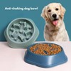 Slow Feeder Dog Bowl Anti Gulping Anti Chocking Healthy Eating