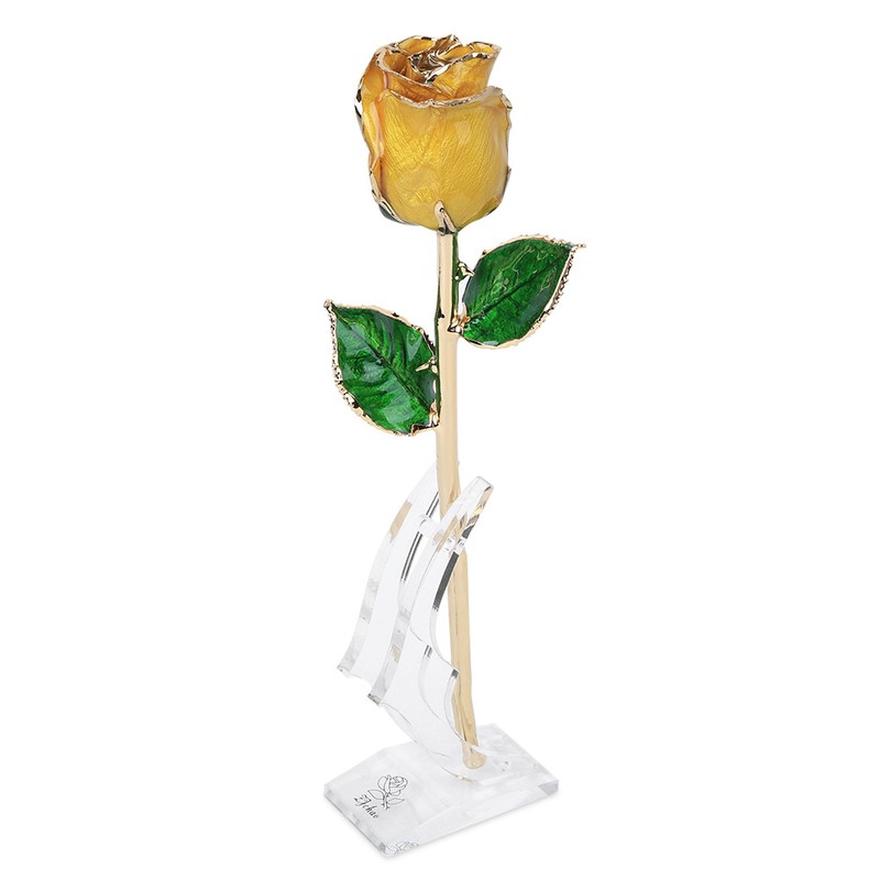 Golded Rose Flower Yellow 24K with Base Gift Decoration for