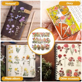 SEWACC 6bags Floral Scrapbook Stickers Plant-Themed Journal Decals for Crafting Beautiful Flower and Leaf Designs for Scrapbooking Card Making and Wrapping