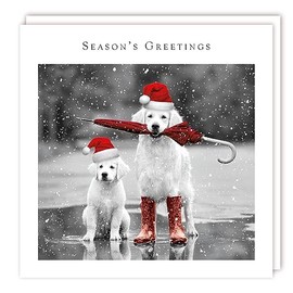 Tracks Publishing Charity Christmas Cards - Festive Labrador Dogs in Puddle - Eco-Friendly - Pack of 5 Cards
