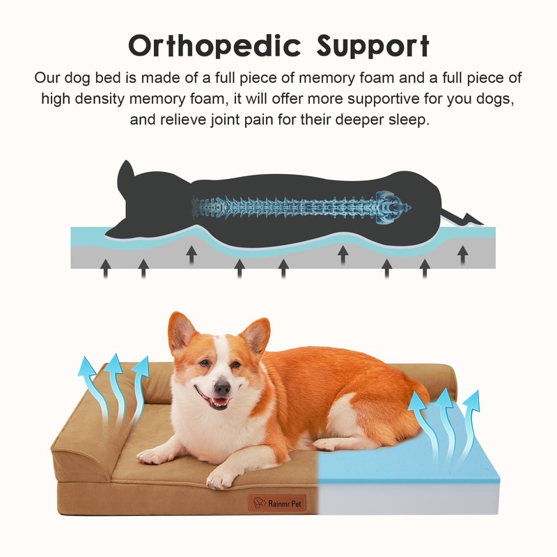 Rainmr Orthopedic Dog Bed Medium Size Dog, Memory Foam Dogs