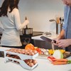 Automatic Egg Dispenser for Fridge - Double Tier Rolling Egg