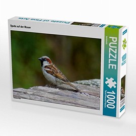 CALVENDO Puzzle Sparrow on the Wall - 1000 Pieces Photo Puzzle for Happy Hours