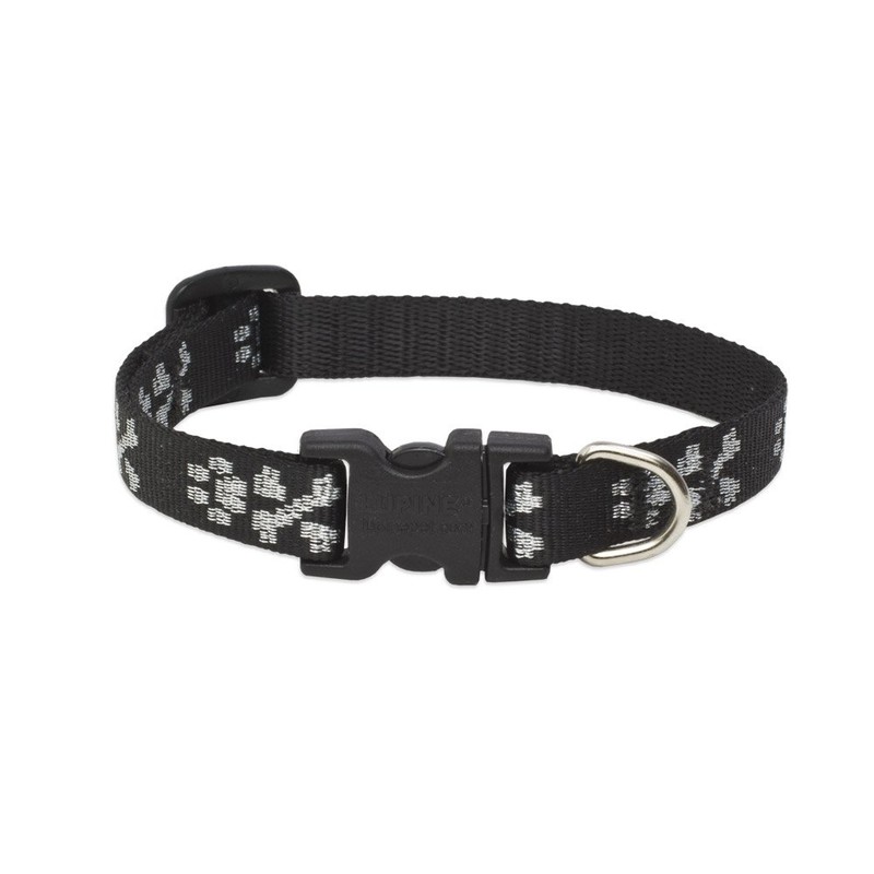 LupinePet Originals 1/2" Bling Bonz 8-12" Adjustable Collar for Small