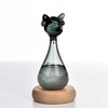 Weather Predictor Cat Bottle Black Ergonomic Rugged Glass Weather Predictor