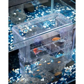 Pawfly Aquarium Fish Breeding Box Transparent Plastic Breeder Box for Fish Tank Fry Hatchery Incubator Hatching Box for Baby Fish Shrimp Betta Clownfish Large Isolation Box for Aggressive Guppy