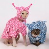 GigglyHouse Sphynx Cat Clothes, Cat Suit with Hat and Sweatshirt,