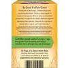 Yogi Tea Pure Green Tea - 16 Bags per Pack