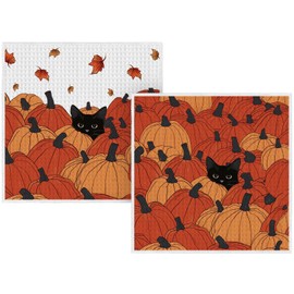 Artoid Mode Black Cat Stripe Pumpkin Fall Kitchen Dish Cloths, 12x12 Inch Quick Dry Microfiber Dishcloths for Kitchen Premium Dish Rags Set of 2