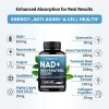 Nad Resveratrol Coq10acido Alfa Lipoicourolitina 60 Caps