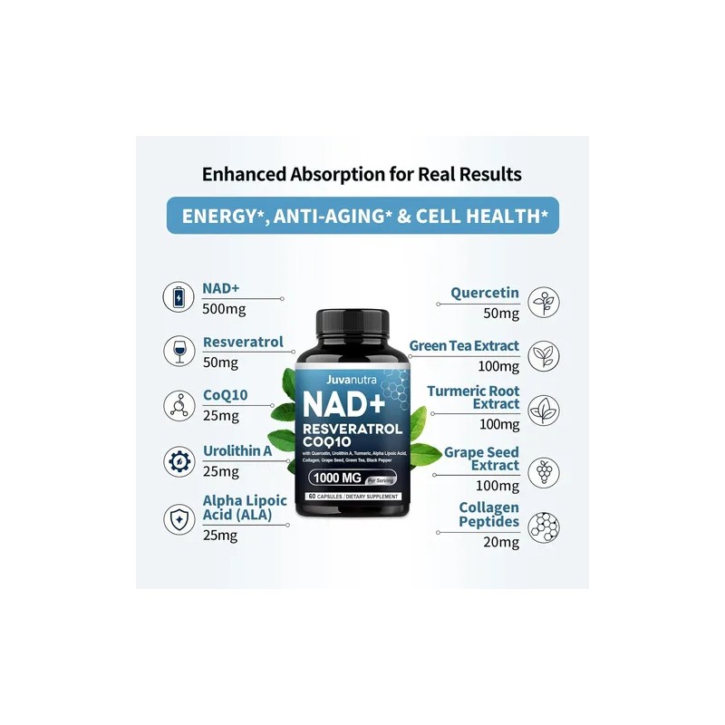 Nad Resveratrol Coq10acido Alfa Lipoicourolitina 60 Caps