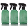 OEXEO Glass Spray Bottles,Handheld Pressure Spray Bottles,Adjustable Nozzle(spray,stream),Reusable Container (3