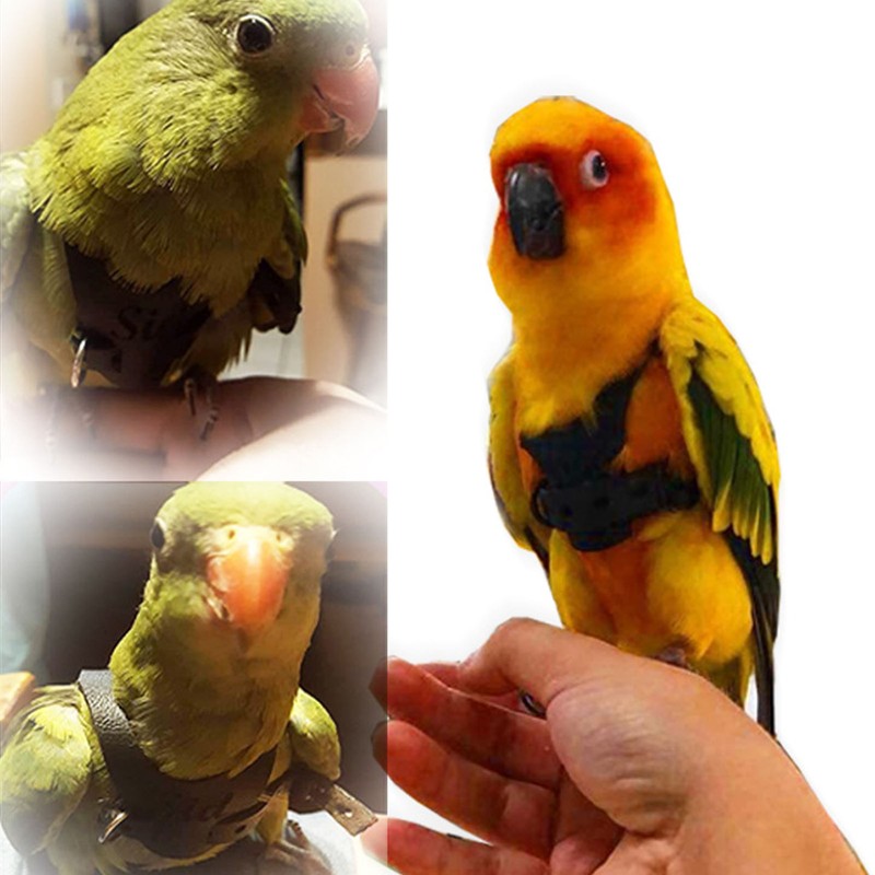 Bird Harness Leash Elastic Easy To Wear Portable Bird Traction